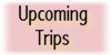 Upcoming Trips